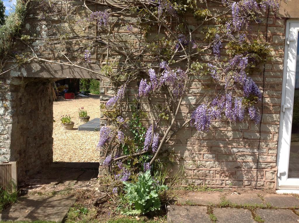 The Coach House Bed & Breakfast Ross-on-Wye Dış mekan fotoğraf